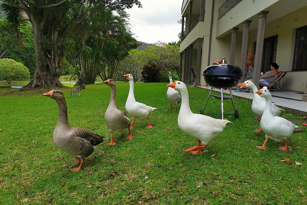 Eden Wilds Unit 48 & 47 & 31 Apartment Port Edward Bagian luar foto